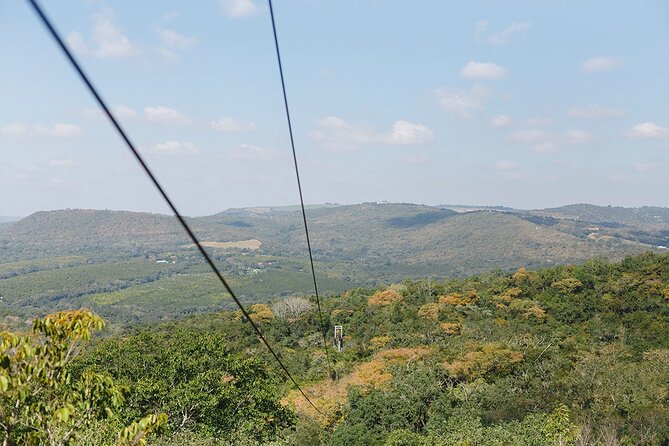 Aerial Cable Trail in Hazyview - Transportation and Logistics