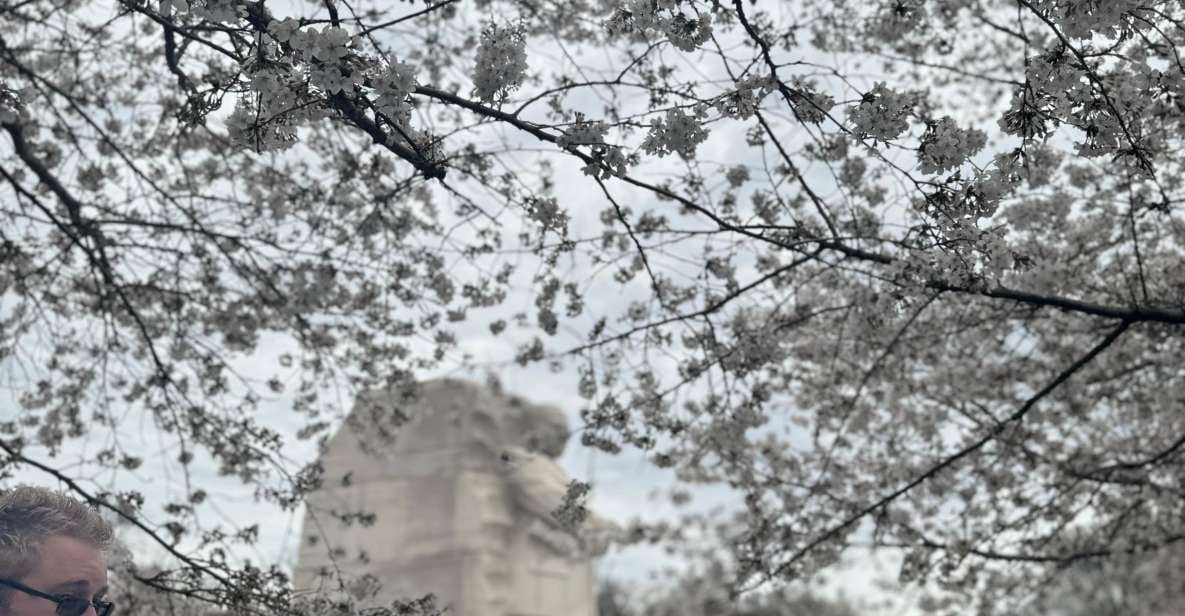 African American History Private Tour W/ Museum Entry - Key Points