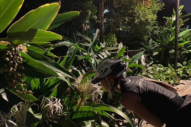 Afternoon Adventure: Okinawa Local Cycling With Spectacular Views - Gear and Equipment for the Cycling Adventure