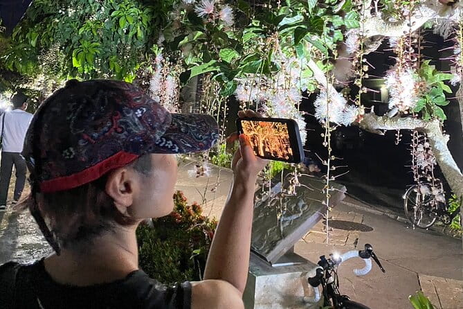 Afternoon Adventure: Okinawa Local Cycling With Spectacular Views - Recommendations for Families and Solo Travelers