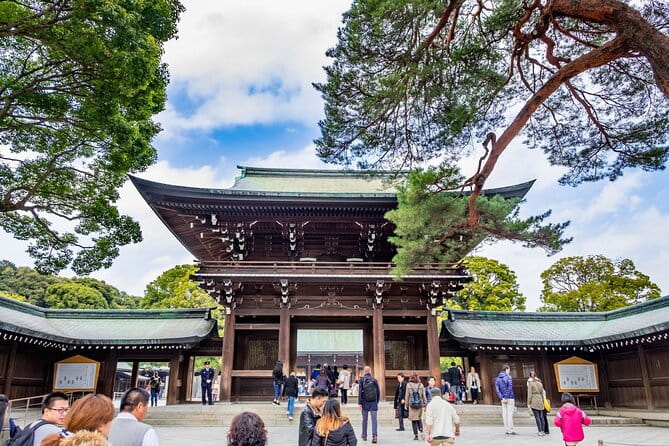 Afternoon Small Group Tour in Tokyo - Key Points