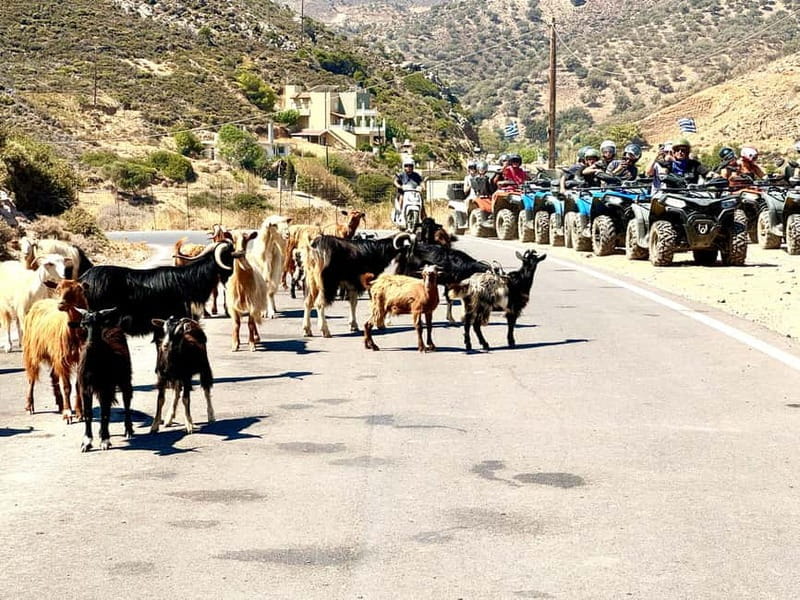 Ag. Pelagia: Nature Quad Tour & Village visit - Final Thoughts: Is It Worth It?