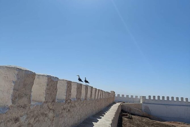 Agadir Private City Tour & Visit of Medina Polizzi - Booking Details