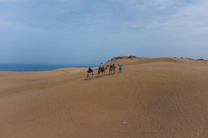Agadir Sand Dunes and Camel Ride in Tifnit With Lunch - Meeting and Pickup Arrangements