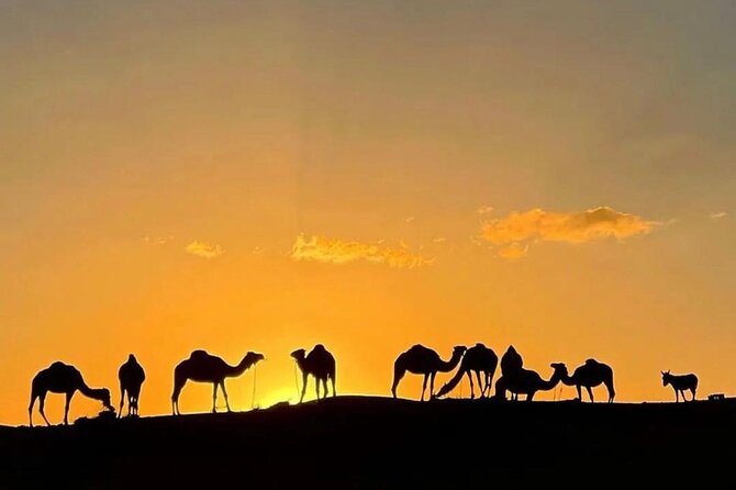 AGAFAY DESERT: Dinner, Camel Ride, Berber Camp , Sunset - Overview of the Agafay Desert Tour