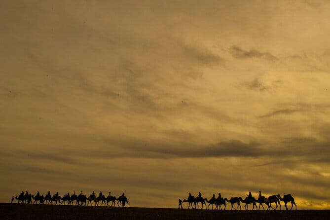 Agafay Desert - Quad, Camel, and Dinner Show - Pricing and Booking