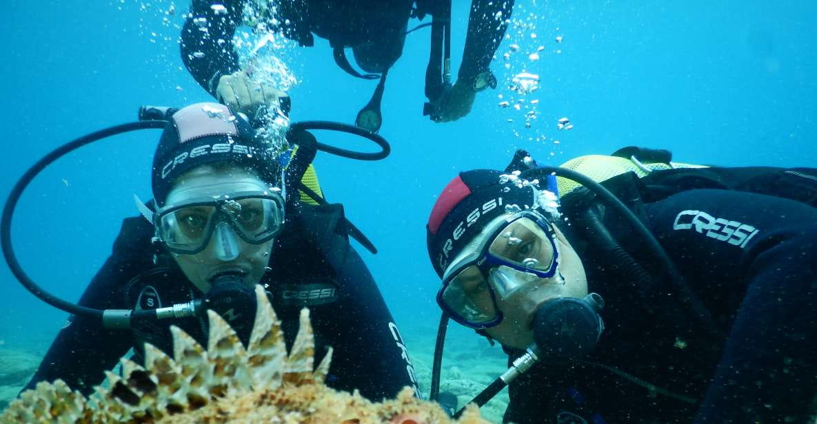 Agia Pelagia: Introduction to Scuba Diving Experience - Instructor Qualifications