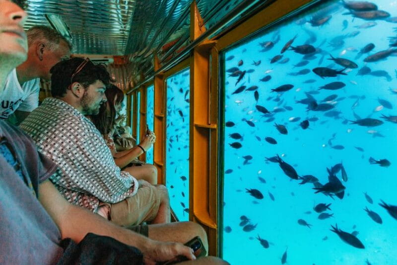 Agios Nikolaos: Semi-Submarine Cruise - Who This Tour Is Best For