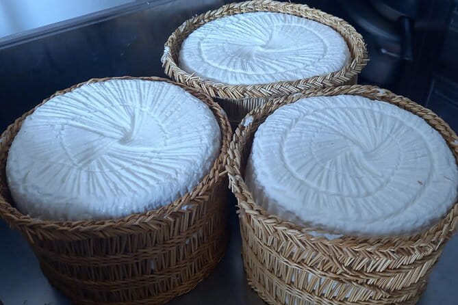 Agriaperitivo in a 3-Hour Farm Activities in Ugento - What to Expect: The Farm Tour and Aperitivo