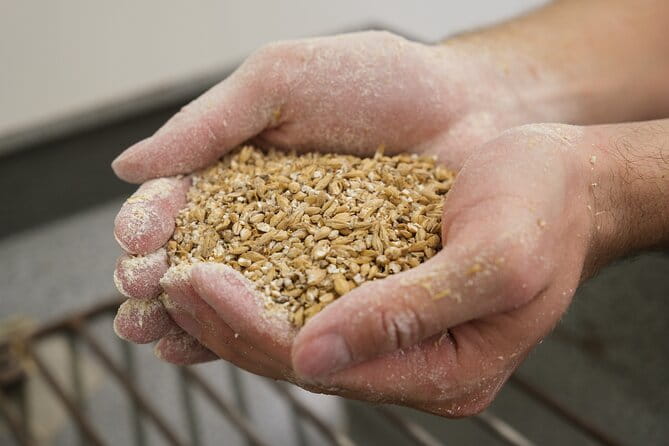 Agricultural Brewery Tour in the Roman Countryside - In-Depth Review of the Agricultural Brewery Tour