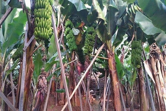 Agriculture Green Tour - Key Points / Takeaways