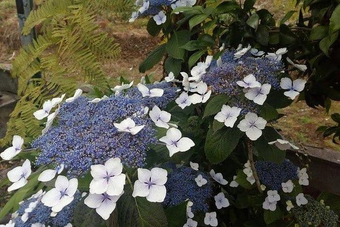 Agriculture Green Tour - Who Would Love This Tour?