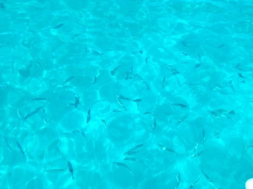 Agrigento: Private Torre Salsa Natural Reserve Boat Tour - Detailed Itinerary