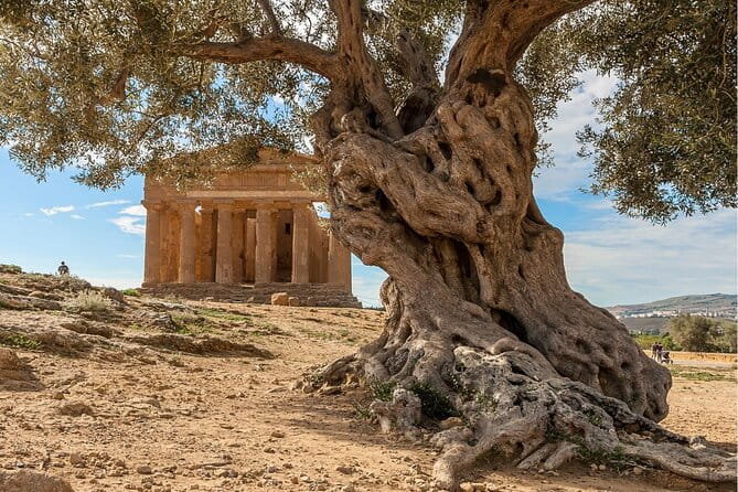 Agrigento to Siracusa with Valley of Temples and Roman Villa Trip - Final Thoughts: A Day of Ancient Wonder and Flexibility