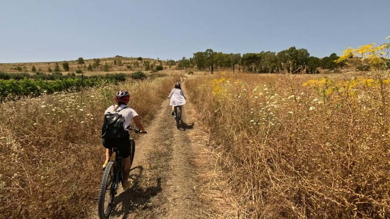 Agrigento: Valley of the Temples and Historic Center by E-Bike & Food Experience - Price and Logistics