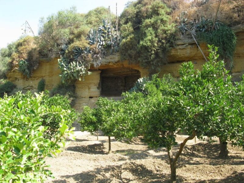 Agrigento Valley of the Temples and Kolymbethra Private Tour - Key points / Takeaways