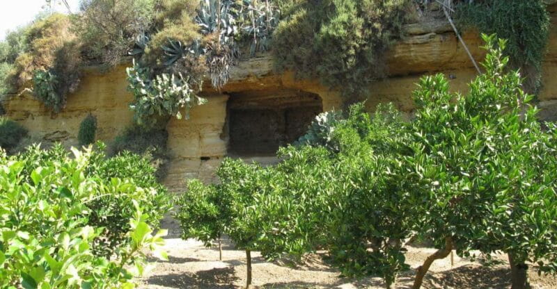 Agrigento Valley of the Temples and Kolymbethra Private Tour - Exploring the Valley of the Temples: A Journey Through Greek Sicily