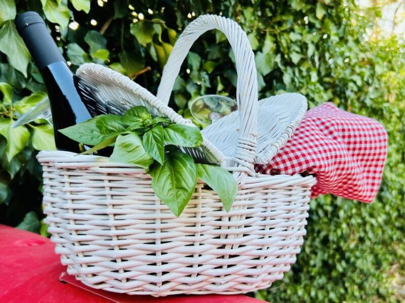 Agrigento: Valley of the Temples Gardens Picnic Experience - Discovering the Kolymbethra Gardens and Beyond