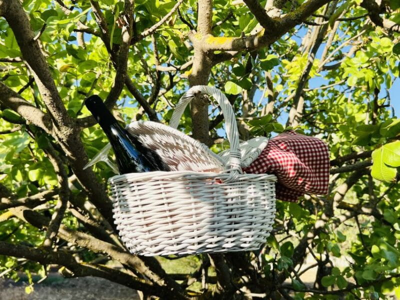 Agrigento: Valley of the Temples Gardens Picnic Experience - The Practical Side: Logistics, Cost, and Tips