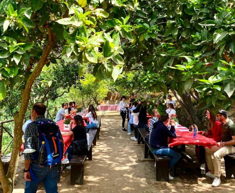 Agrigento: Valley of the Temples Gardens Picnic Experience - Final Thoughts: Is It Worth It?