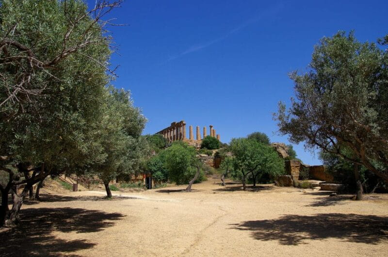 Agrigento: Valley of the Temples Private Archeological Tour - Price and Practicalities