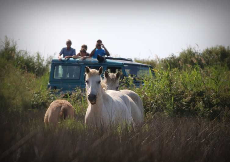 Aigues Mortes: Jeep Photo Safari in Camargue - Key points / Takeaways