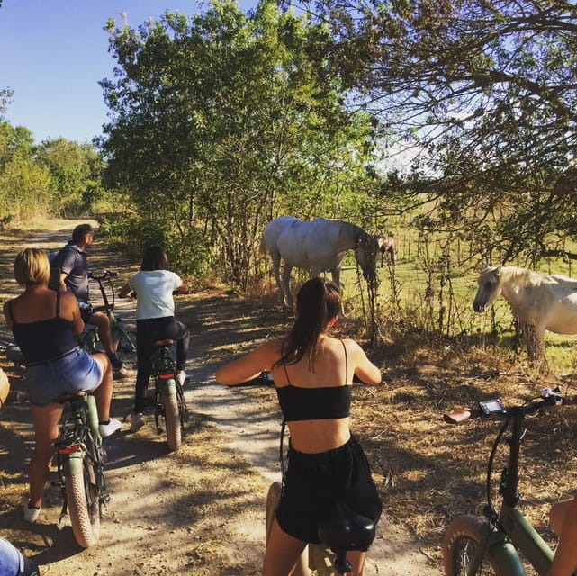 Aigues Mortes: safari en vélo - Ebike tour in Camargue - Discover the Magic of Camargue on an Ebike Safari in Aigues Mortes