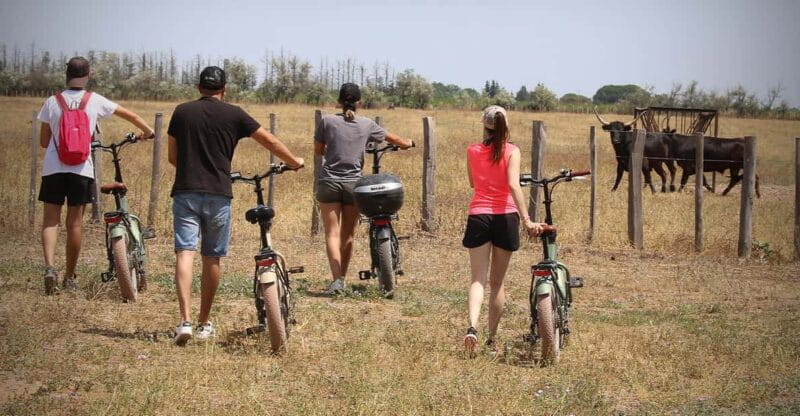 Aigues Mortes: safari en vélo - Ebike tour in Camargue - Who Will Love This Tour and Who Might Not?
