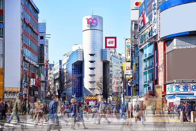 Airport Pick-Up or Drop-Off Service in Tokyo - Accessibility Features