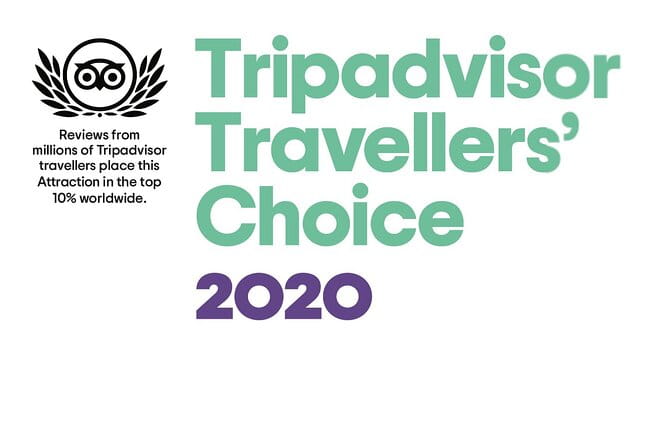 Airport Transfer - Who Is It Best Suited For?