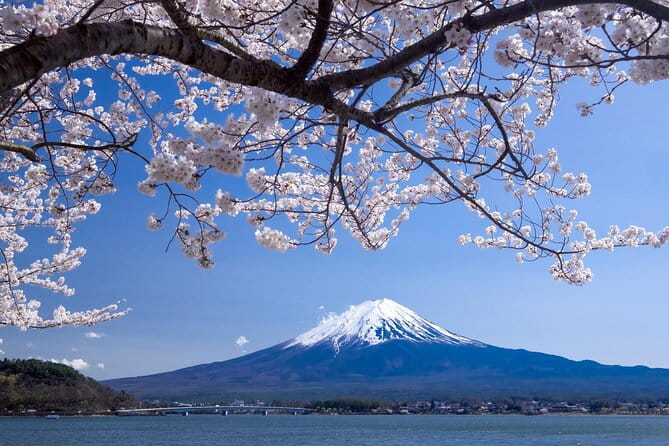 Airport Transfer Between Narita and Mount Fuji or Hakone Onsen - Pickup and Drop-off Information