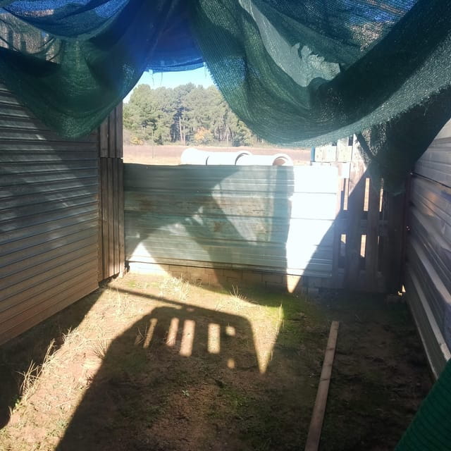 Airsoft, like paintball, but more realistic, immersive games. - Logistics: Getting There and What to Bring