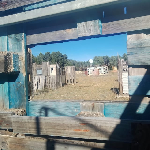 Airsoft, like paintball, but more realistic, immersive games. - FAQs