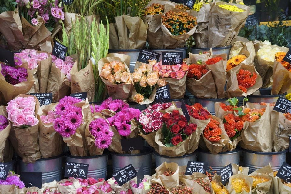 Aix-En-Provence: Guided Driving Tour With Hotel Transfer - Exploring Aix-en-Provence