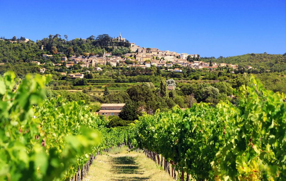 Aix-en-Provence: Half-Day Wine Tour - Inclusions