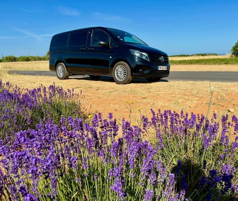 Aix en Provence: Lavender Fields & LOccitane Factory - The Sum Up