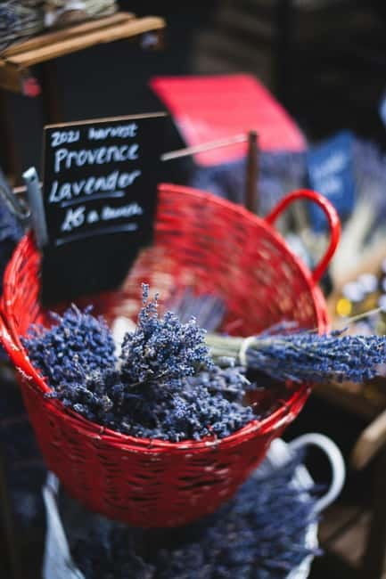 Aix en Provence: Lavender Fields & LOccitane Factory - FAQ