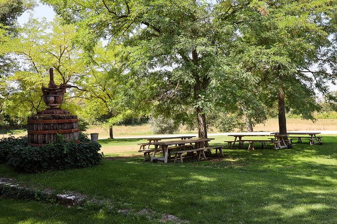 Aix-en-Provence old town, wine & art of Châteaux Beaupré & Bonisson private tour - Price and Overall Value