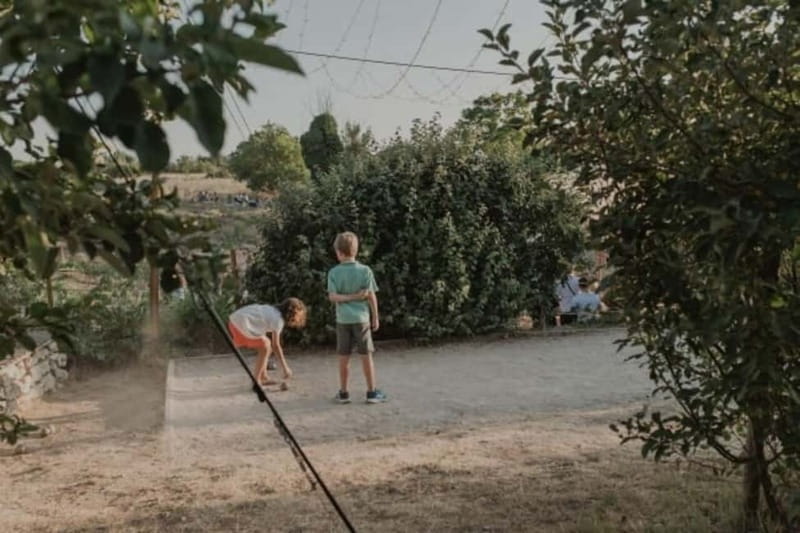 Aix-en-Provence: Visit to a lavender field + snacks - Aix-en-Provence: Visit to a Lavender Field + Snacks — A Peaceful Escape into Provence’s Aromatic Heart
