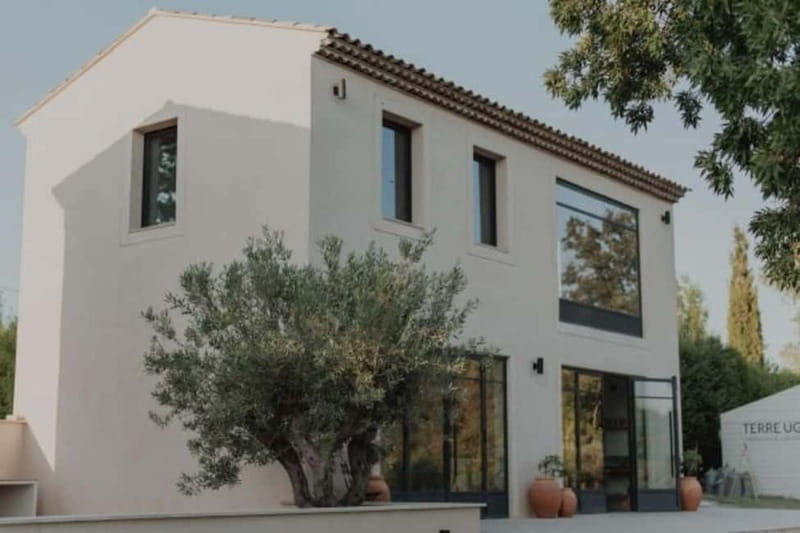 Aix-en-Provence: Visit to a lavender field + snacks - Key Points / Takeaways