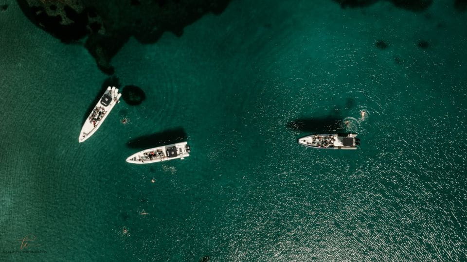 Ajaccio: Cruise to the Sanguinaires Islands With a Stop at Mezzu Mare - Key Points