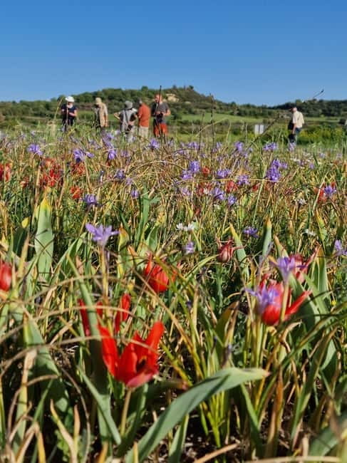 Akamas Jeep safari English, Francais, +boat trip blue Lagoon - The Boat Trip and Blue Lagoon: The Grand Finale