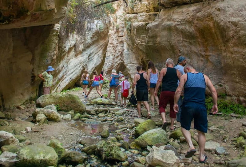 Akamas Jeep Safari Tour from Paphos - Price and Logistics: Is It Worth It?