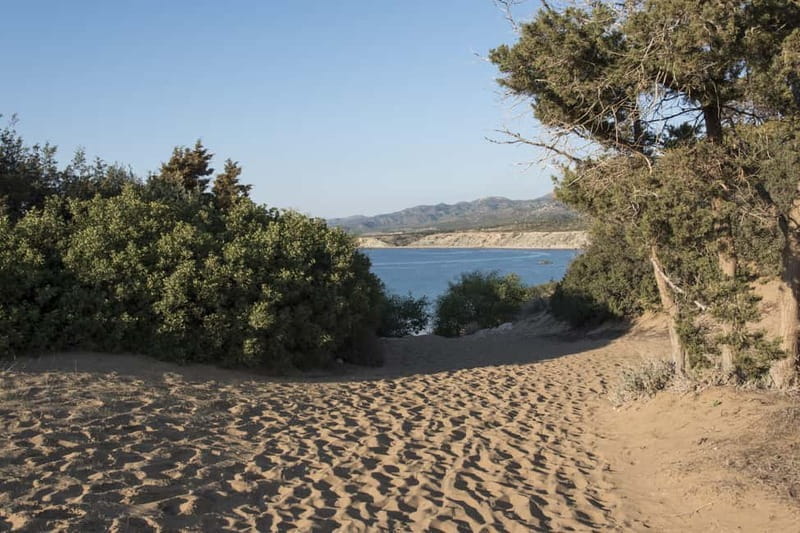 Akamas Jeep Safari Tour from Paphos - Final Thoughts: Who Should Book This?