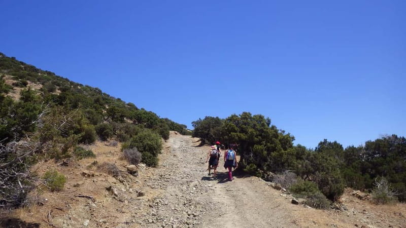 Akamas Panorama Walk (usually Adonis&Aphrodite combo) - Key points / Takeaways