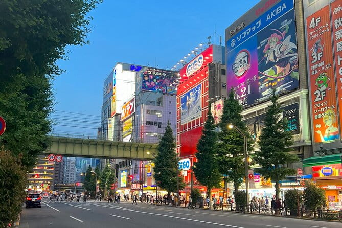 Akihabara Half Day Walking Tour With Otaku Licensed Guide - Booking and Payment Information