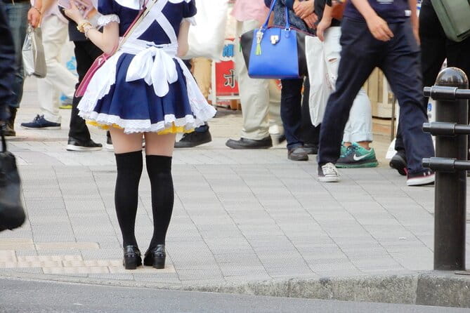 Akihabara Otaku Wonderland 100% Personalized TOUR - Embracing the Cosplay Culture