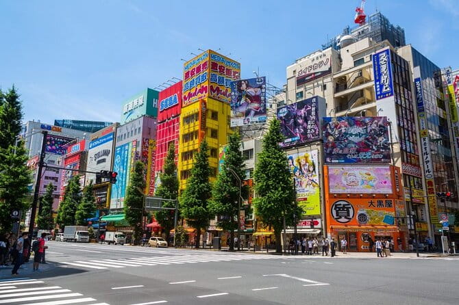 Akihabara Pop Culture Tour - Key Points