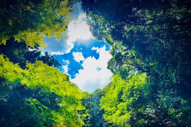 Akiyoshido Motonosumi Shrine Tsunoshima Bridge Tour From Fukuoka - Booking and Cancellation Information