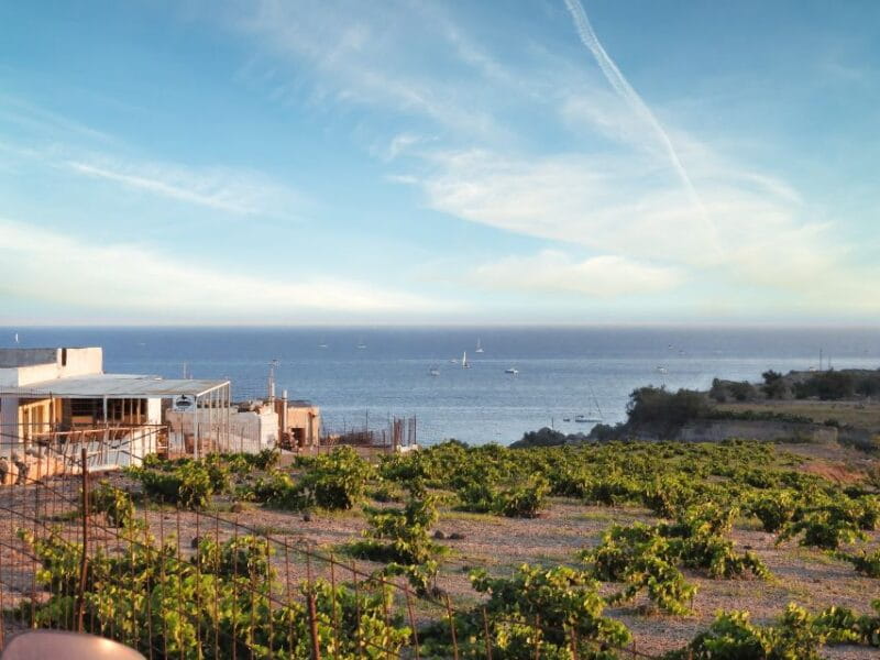 Akrotiri: Guided Horseback Riding Day Trip to a Beach - Key points / Takeaways